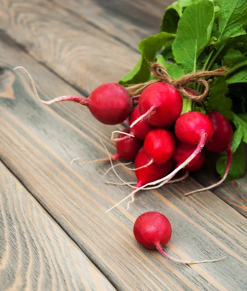 Świeże rzodkiewki organicznych — Zdjęcie stockowe