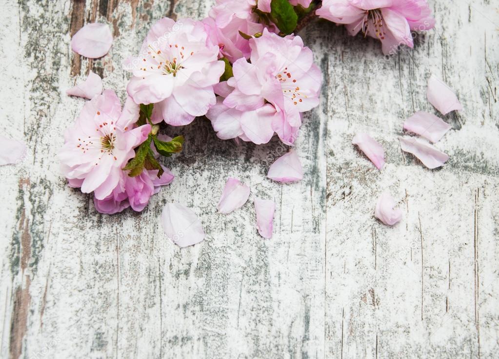 Sakura blossom on a old wooden background
