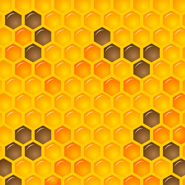 Natural Background with Honeycombs — Stock Illustration Natural Background with Honeycombs Stock Vector