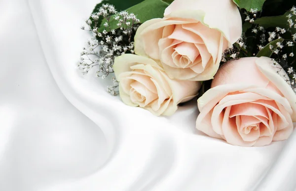 Rose su sfondo di seta bianca — Foto Stock