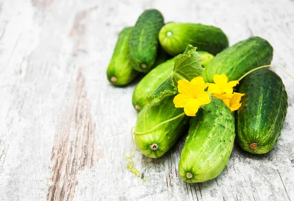 Färska gurkor — Stockfoto