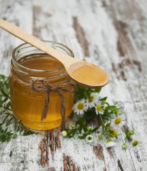 Honey and wild flowers — Stock Photo, Image