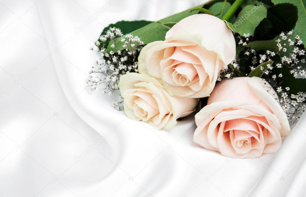 roses on white silk background