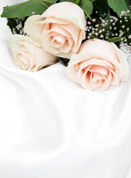 Rosas sobre fondo de seda blanca — Foto de Stock