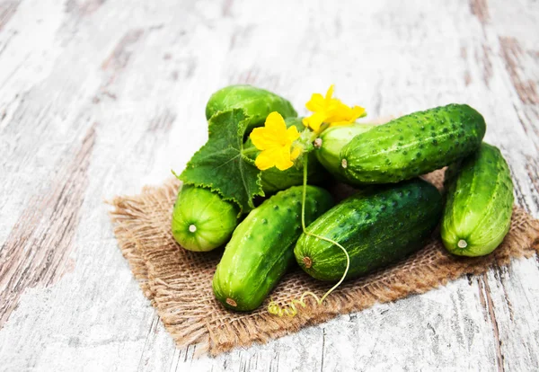 Färska gurkor — Stockfoto