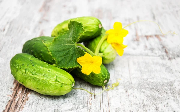 Färska gurkor — Stockfoto