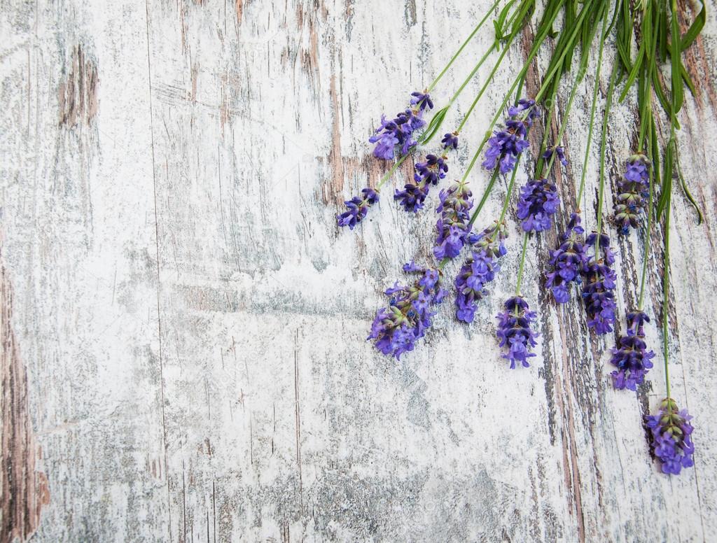 lavender flowers