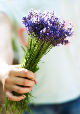 Bir demet lavanta.