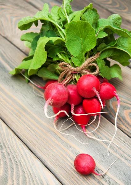 Świeże rzodkiewki organicznych — Zdjęcie stockowe