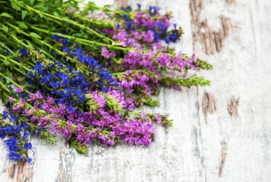 Pembe ve Mor çiçekler 