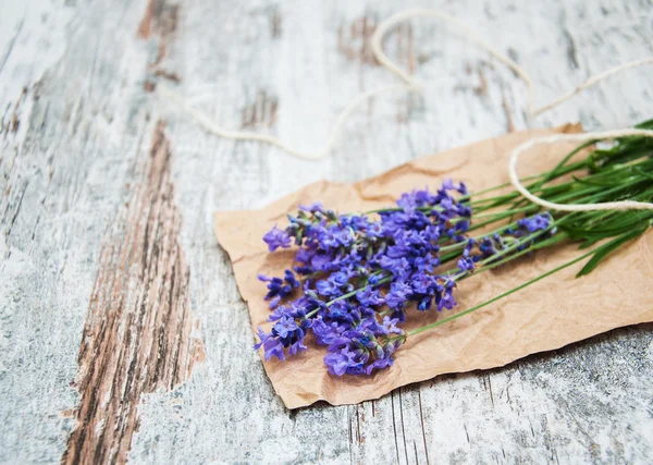 Flores de lavanda — Fotografia de Stock