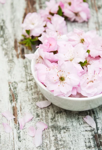 Flowers of sakura blossoms in a bowl of water — Stock Photo, Image