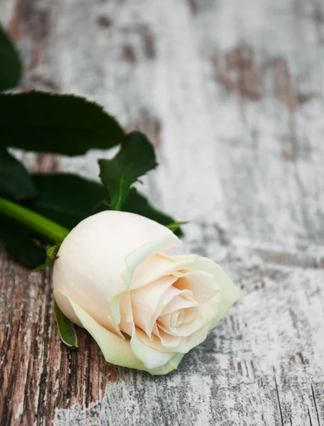 Rose on a wooden table — Stock Photo, Image