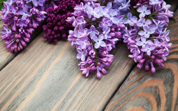 Lilac flowers — Stock Photo, Image