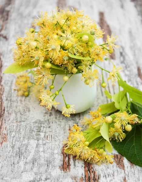 Lindenblüten — Stockfoto