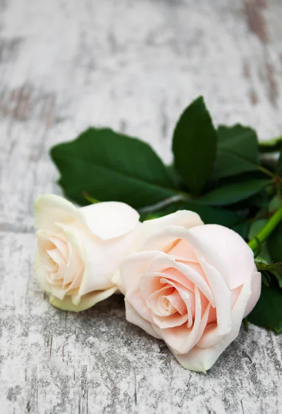 Roses on a wooden table — Stock Photo, Image