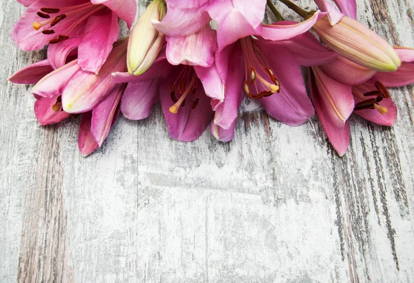 Pink lily — Stock Photo, Image