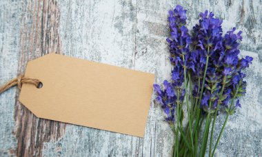 Lavanta çiçekleri etiketi ile