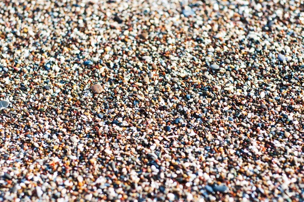 Pebbles on the beach — Stock Photo, Image