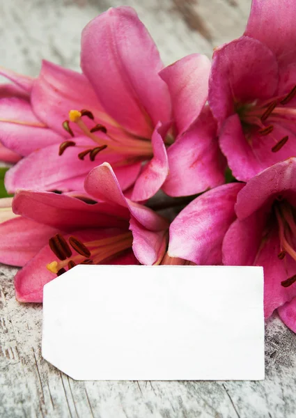 Pink lily med tag — Stockfoto