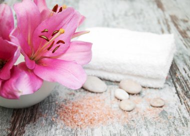 sarı çiçek yakın çekim