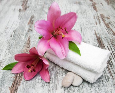 sarı çiçek yakın çekim