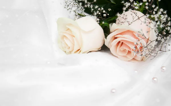 Rosas sobre fundo de seda branca — Fotografia de Stock
