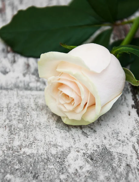 Rose sur une table en bois — Photo