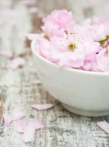 Цветы сакуры цветут в чаше с водой — стоковое фото