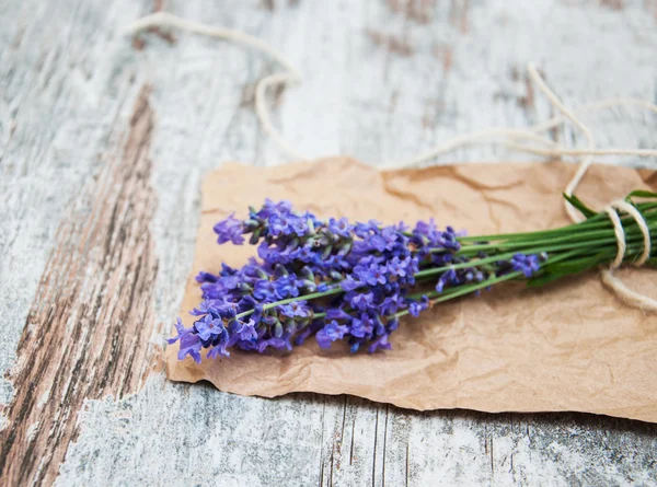 Fiori di lavanda — Foto Stock