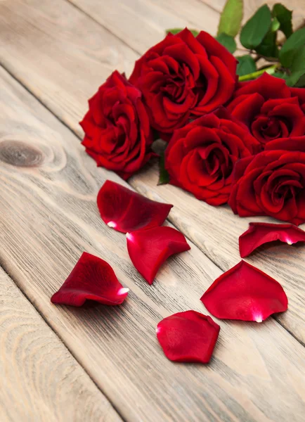 Fresh Red roses — Stock Photo, Image