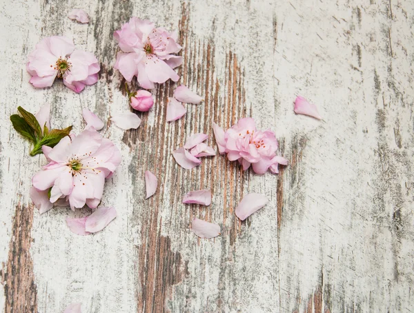 Sakura květu na staré dřevěné pozadí — Stock fotografie