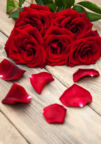 Fresh Red roses — Stock Photo, Image