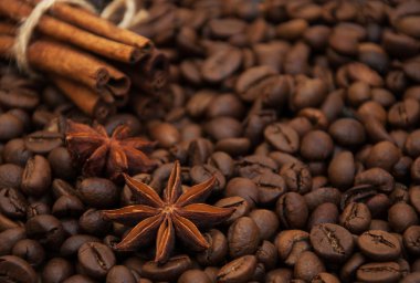 Kahve çekirdekleri ve baharatlar