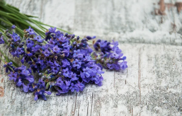Flori de lavandă — Fotografie, imagine de stoc