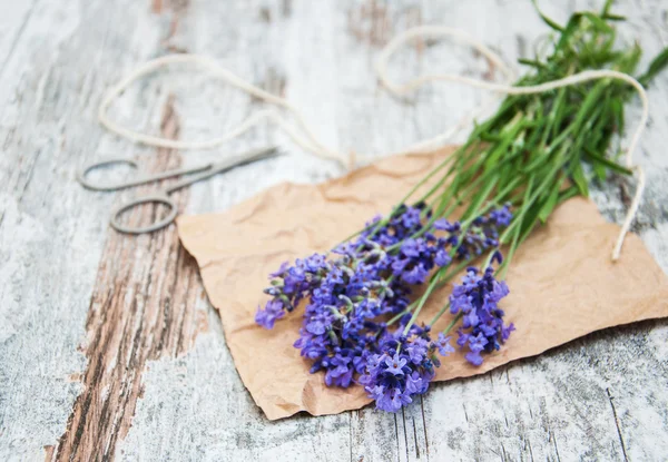 Lavender flowers — Stock Photo, Image