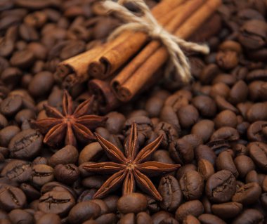 Kahve çekirdekleri ve baharatlar