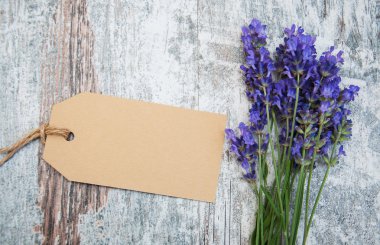 Lavanta çiçekleri etiketi ile