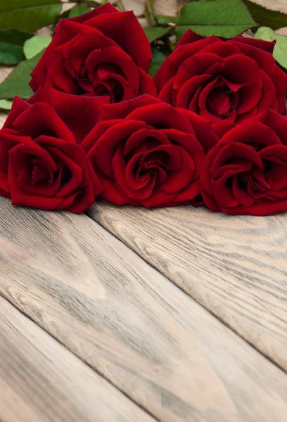 Fresh Red roses — Stock Photo, Image