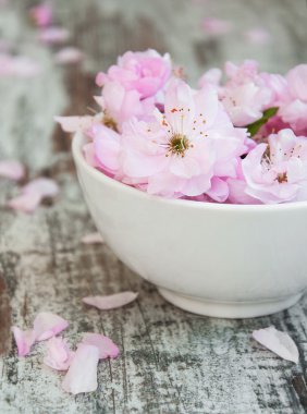 sakura çiçekleri su bir kase çiçekler