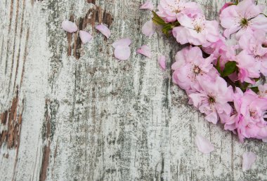 Sakura çiçeği eski ahşap arka plan üzerinde