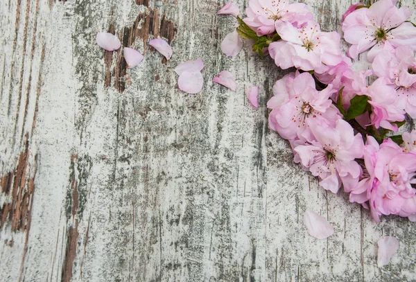 Цветение сакуры на старом деревянном фоне — стоковое фото
