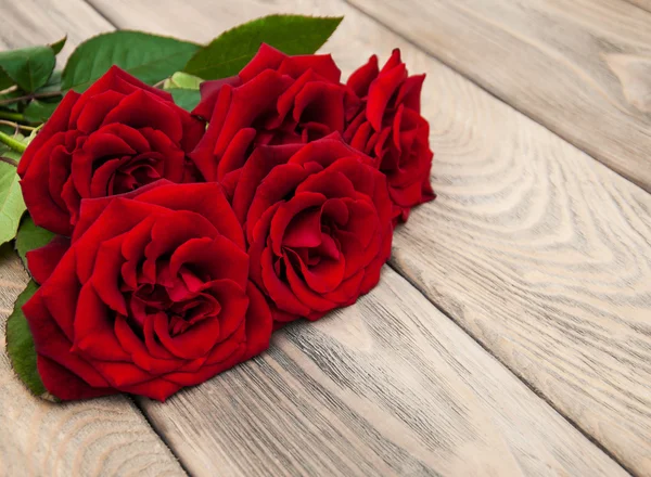 Fresh Red roses — Stock Photo, Image