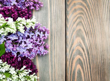 Bir ahşap üzerine Eflatun çiçekler