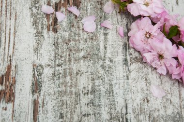 Sakura çiçeği eski ahşap arka plan üzerinde