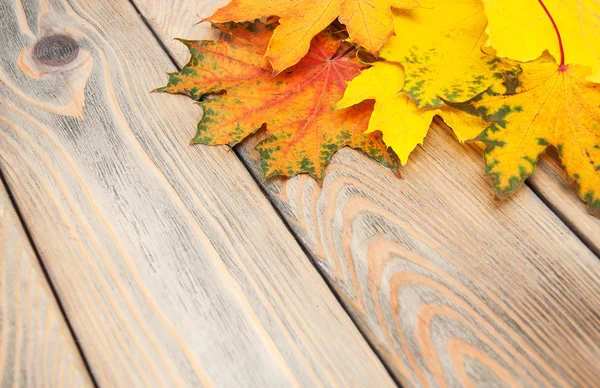 Autumn wooden background with colorful maple leaves — Stock Photo, Image