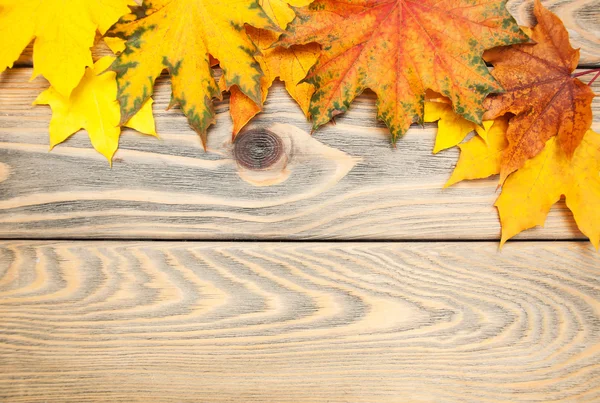 Autumn wooden background — Stock Photo, Image