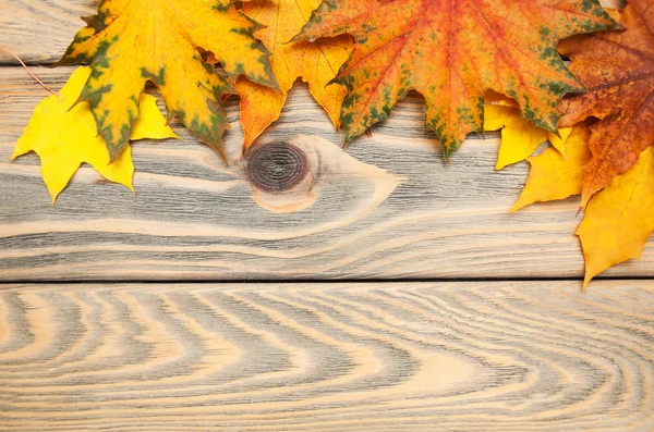 Fondo de madera de otoño —  Fotos de Stock