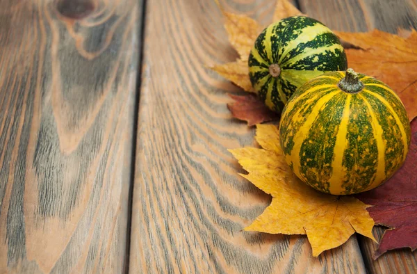 Citrouilles et feuilles d'automne — Photo