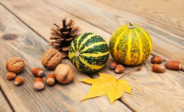 Calabazas y nueces de otoño —  Fotos de Stock